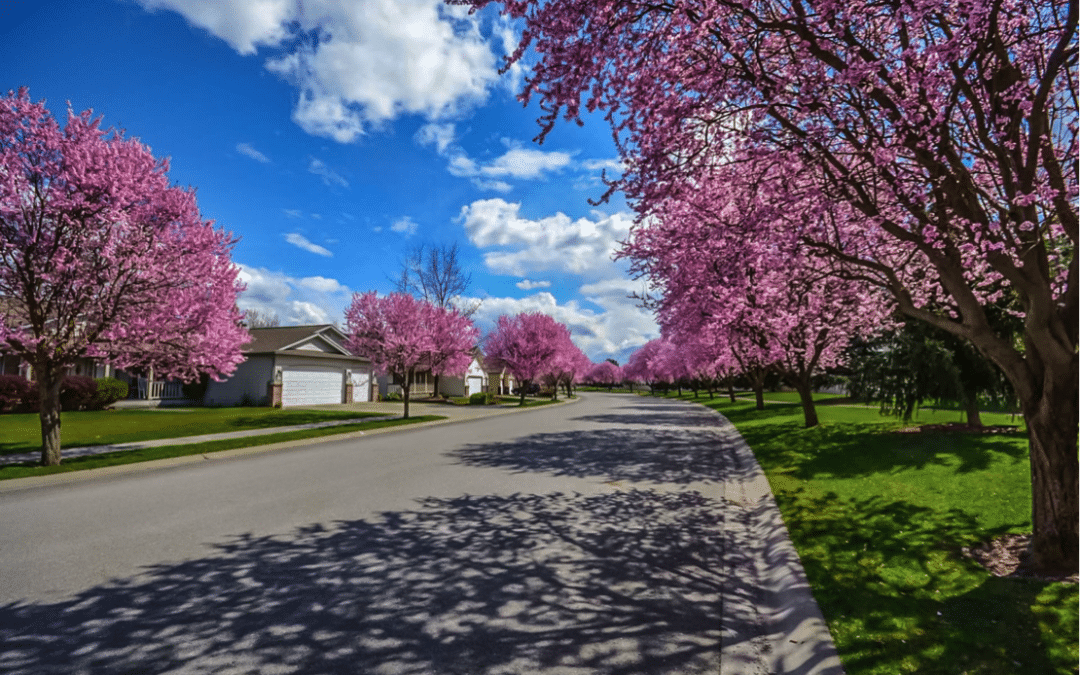 House and land packages: pros and cons
